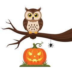 A cartoon owl perches on a branch above a lit pumpkin with a hanging spider