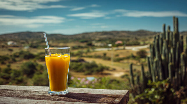 A chilled cup of umbu juice on blurred countryside landscape of Sert&atilde;o with cactus and blue sky behind