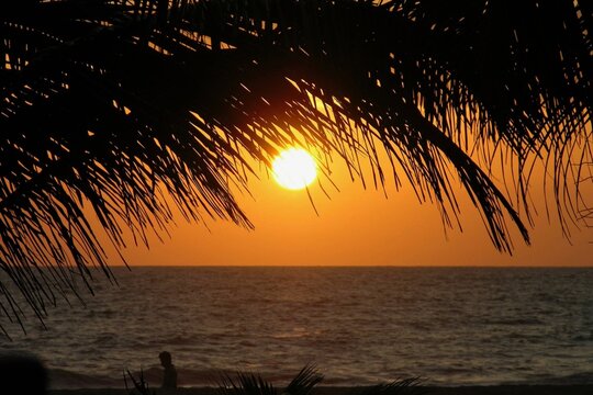 Abendsonne in Sri Lanka