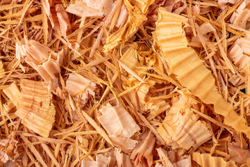 Wood shavings sawdust texture background