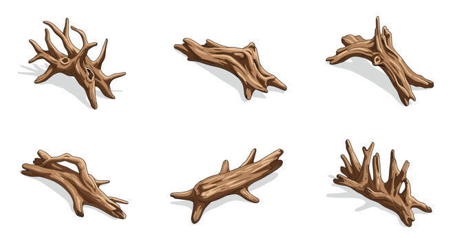 Realistic driftwood collection on white background for natural decor designs