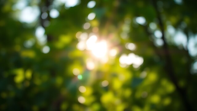 Blurred green foliage with sunlight bokeh, creating a serene nature background with shallow focus.