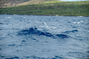 water splash in blue water