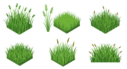 Set of isometric grass elements in various styles for landscape design