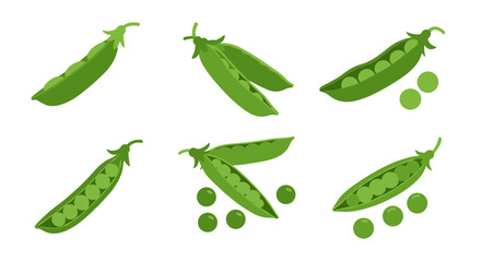 Variety of fresh green pea pods with peas on white background