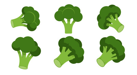 Flat style broccoli variety collection in different angles on white background