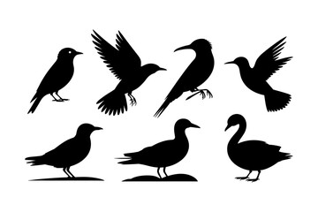 Birds silhouettes vector set, Collection of black isolated of flying birds seagulls against a white background, Beautiful bird flying silhouette set of vector, USA national birds silhouettes - Eagles,