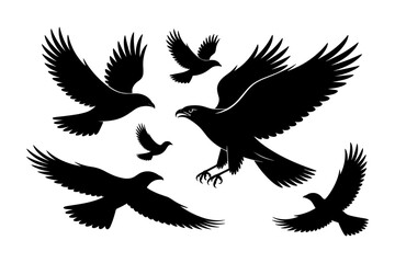 Obraz premium Birds silhouettes vector set, Collection of black isolated of flying birds seagulls against a white background, Beautiful bird flying silhouette set of vector, USA national birds silhouettes - Eagles,