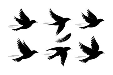 Obraz premium Birds silhouettes vector set, Collection of black isolated of flying birds seagulls against a white background, Beautiful bird flying silhouette set of vector, USA national birds silhouettes - Eagles,