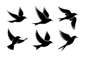 Obraz premium Birds silhouettes vector set, Collection of black isolated of flying birds seagulls against a white background, Beautiful bird flying silhouette set of vector, USA national birds silhouettes - Eagles,