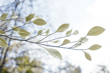 Delicate branches with light green leaves against blurred sky. Minimalist nature image with soft focus creating serene atmosphere and space for text overlay or design elements.