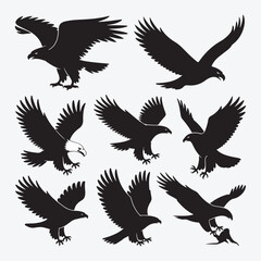 Obraz premium Majestic eagle silhouettes in flight various poses dynamic bird wings spread