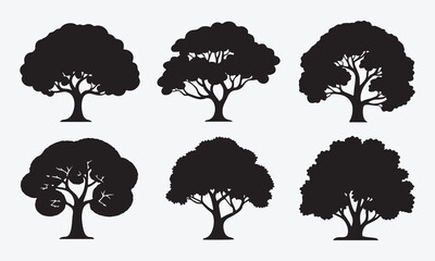 Vector illustration set of black tree silhouettes, including pine, oak, palm, and birch, a versatile nature forest collection for design projects