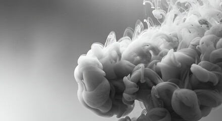 Elegant monochrome motion of a black ink cloud spreading in water. Abstract artistic background for creative design projects, isolated on white