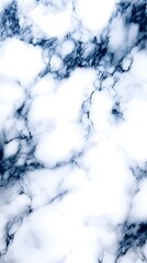 Obraz premium Elegant white marble with navy blue veins texture as a backdrop or surface