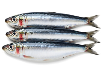 Fototapeta premium Three fresh sardines with silvery scales and dark backs are aligned horizontally and photographed on a white background Generative AI.
