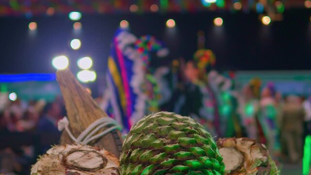 Mezcal agave plant at a colorful mexican festival