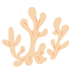 Marine corals. vector illustration in doodle style 