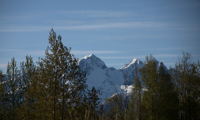 snow covered mountains in Alaska