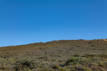 Haleakalā / East Maui Volcano, is a shield volcano. Hawaiian Island of Maui. Haleakala National Park. Hosmer Grove Access Road