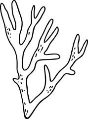 Black and white line drawing of a branching coral or seaweed