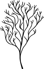 Black line drawing of a branching stem with no leaves