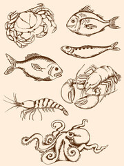 Brown line drawings of various seafood on a light beige background