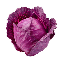 Obraz premium Fresh Organic Purple Cabbage with Vibrant Leaves Isolated on White Background for Culinary and Healthy Lifestyle Projects