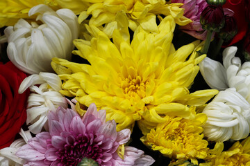 Colorful flower bunch with chrysanthemum, red roses, and small white blossoms