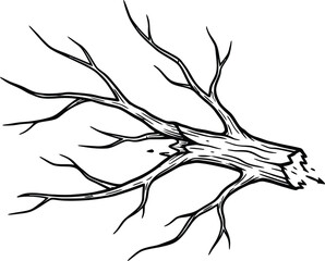 Black and White Illustration of a Broken Tree Branch with Exposed Wood Grain texture