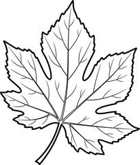 Black and white outline drawing of a single large leaf with prominent veins illustration nature
