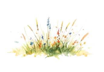 The clump of grass has flowers