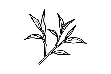 Obraz premium Tea Leaves Branch Outline