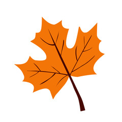 Maple Leaf in Flat Style for Autumn Decoration