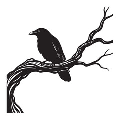 Fototapeta premium Silhouette of a lone black raven perched on a gnarled twisted bare tree branch against a stark white background