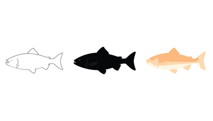 Vector art of three salmon illustrations outline, silhouette, and watercolor