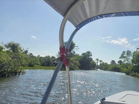 boat on the river