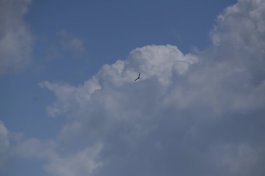 clouds in the sky