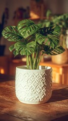 Lush green houseplant in a textured white pot sits on a sunlit wooden table