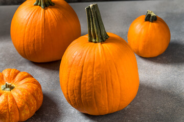 Organic Orange Pie Pumpkins