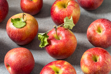 Organic Healthy Autumn Red Jonagold Apples