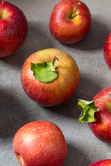 Organic Healthy Autumn Red Jonagold Apples