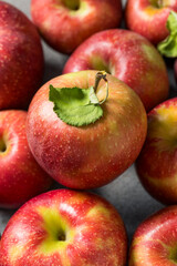 Organic Healthy Autumn Red Jonagold Apples