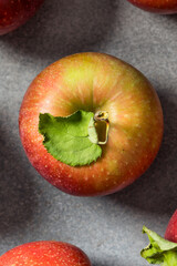 Organic Healthy Autumn Red Jonagold Apples