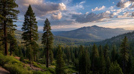 Majestic mountain range and dense forest landscape with vibrant green trees under a partly cloudy blue sky, showcasing scenic outdoor vistas and environmental beauty during a peaceful daylight scene.