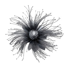 Silver floral ornament isolated decorative element transparent background