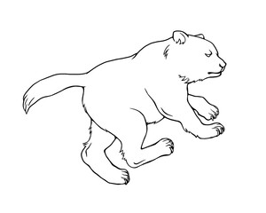 おおぐま座の熊の線画イラスト