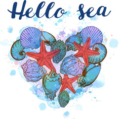 Heartshaped seashell arrangement with Hello sea text