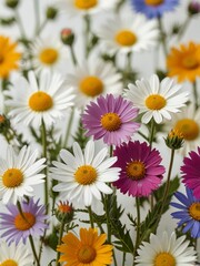 Fototapeta premium A vibrant field of colorful daisies in full bloom under bright sunlight