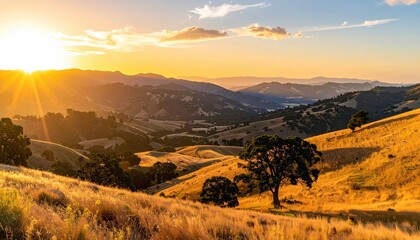 Scenic Landscape of Rolling Hills at Golden Sunset with Warm Sunlight in California Golden Grass Valley Tranquil Atmosphere and Tree Silhouettes